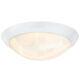 Dimmable LED Indoor Flush Mount Ceiling Light White Finish with Alabaster Glass