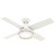 Hunter Fan Dante, 112 cm, Indoor Ceiling Fan with Light and Handheld Remote